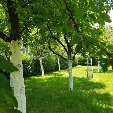 Sjaj Saraybosna