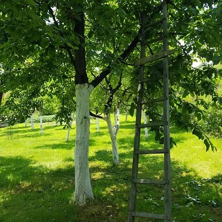 The Orchard Estate